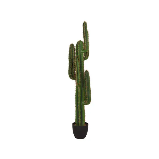 LABEL51 Cactus - Groen - Kunststof - 130 - DS-54.004