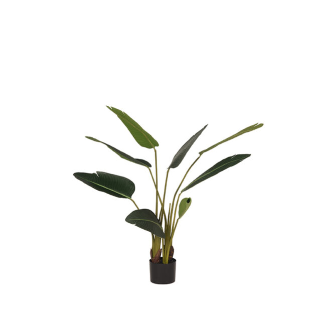 LABEL51 Strelitzia - Groen - Kunststof - 100 cm - DS-54.001