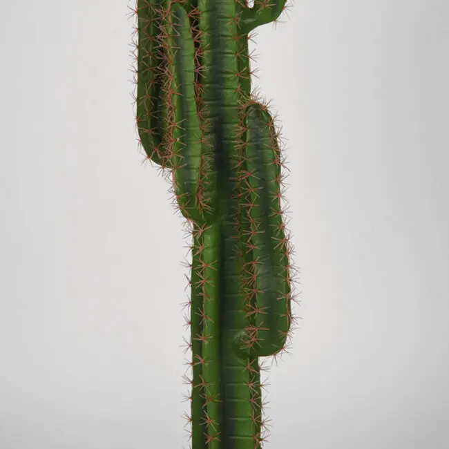 LABEL51 Cactus - Groen - Kunststof - 130 - DS-54.004