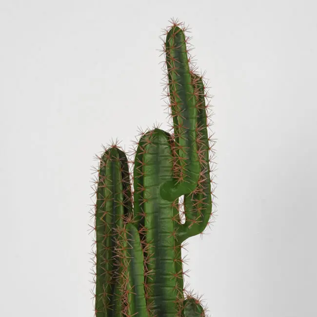 LABEL51 Cactus - Groen - Kunststof - 130 - DS-54.004