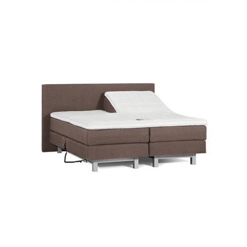Dreamtime 501 taupe